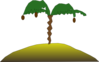 Palm Tree With Coconuts Clip Art